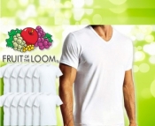 12 T-shirts WIT Fruit of the Loom