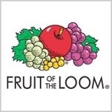 12 T-shirts WIT Fruit of the Loom