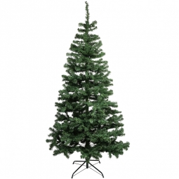 Douglas fir tree (2.1m/ 7ft)